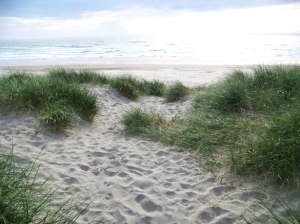 sand-dunes[1]
